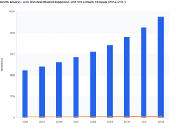 North America Skin Boosters Market Shows Steady Acceleration Supported by Injectable Innovation and Clinic Network Expansion
